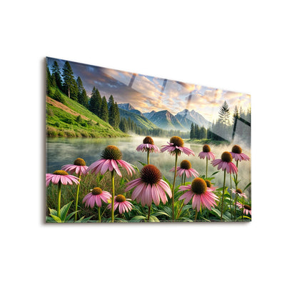 Echinacea